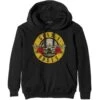 Classic Logo Hooded Sweatshirt -Pink Floyd Shop 418522F